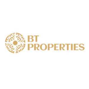 BT Holdings